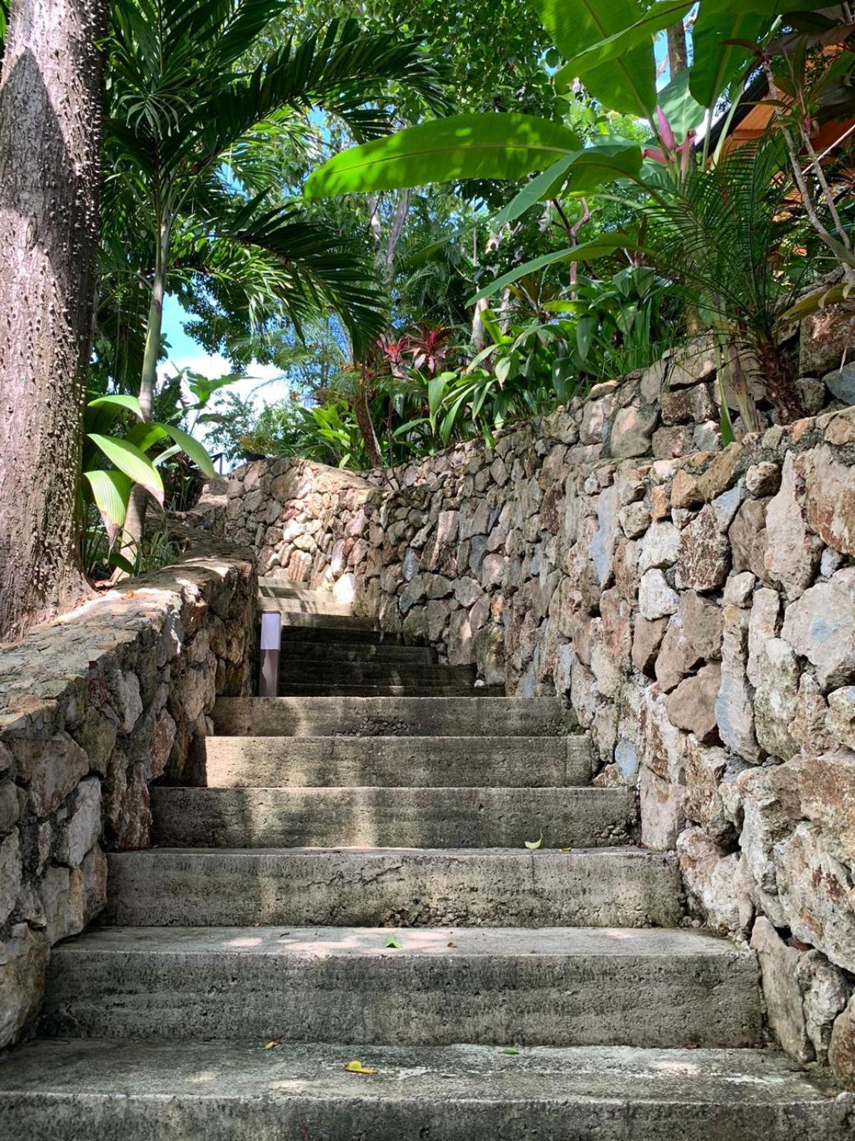 Отель Vista Del Alma Boutique - Adult Only Playa Santa Teresa  Экстерьер фото