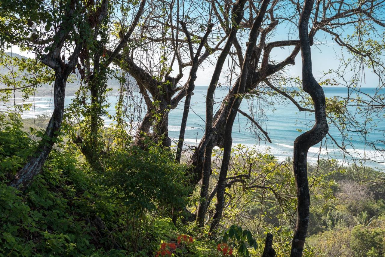 Отель Vista Del Alma Boutique - Adult Only Playa Santa Teresa  Экстерьер фото